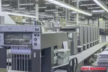 Royo Machinery RZY-800