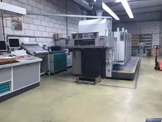 Royo Machinery RZY-800