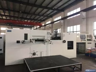 Royo Machinery RZY-800