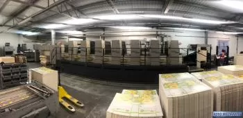Royo Machinery RZY-800