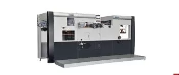 Royo Machinery RZY-800
