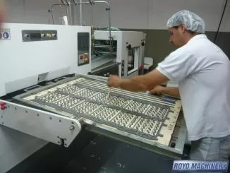 Royo Machinery RDC-1060MPB II
