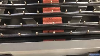 Royo Machinery RNT-600CD