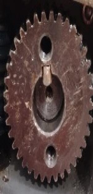 Engranaje  para Royo Machinery en royomachinery.com